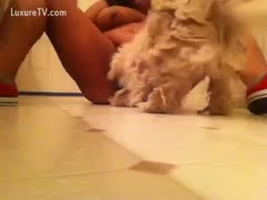 Her pet drilled a hot, dark doxy.